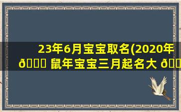 23年6月宝宝取名(2020年 🐎 鼠年宝宝三月起名大 🐝 全)